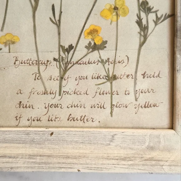 Vintage French framed Buttercup Flower Art - Picture 2 of 7